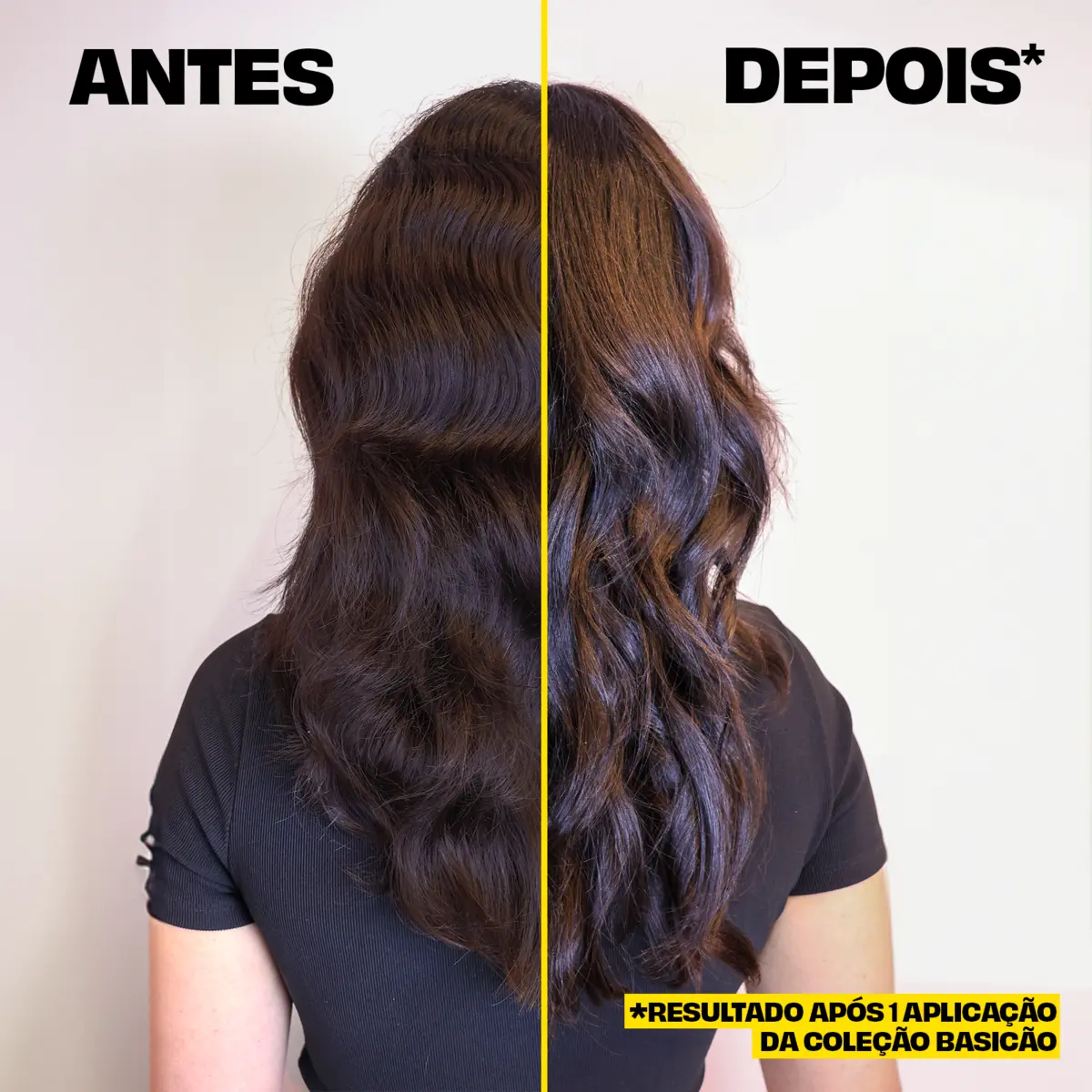 BASICÃO CREME PARA PENTEAR 250G  5